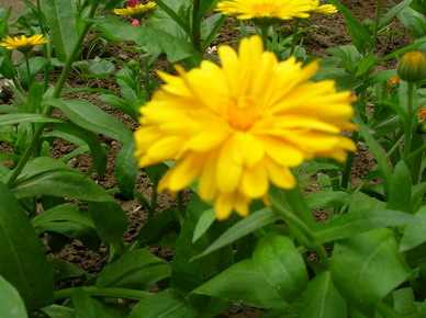 DSCN2737.JPG