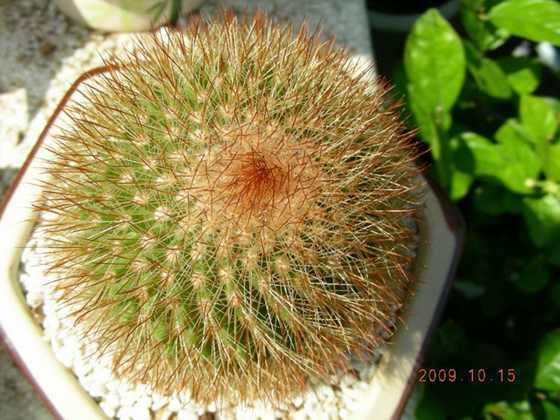 DSCN1208.JPG