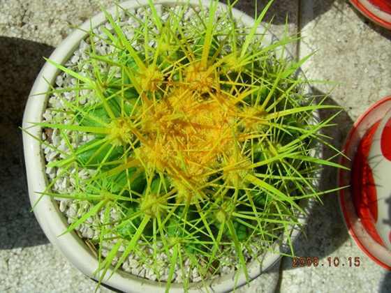 DSCN1198.JPG