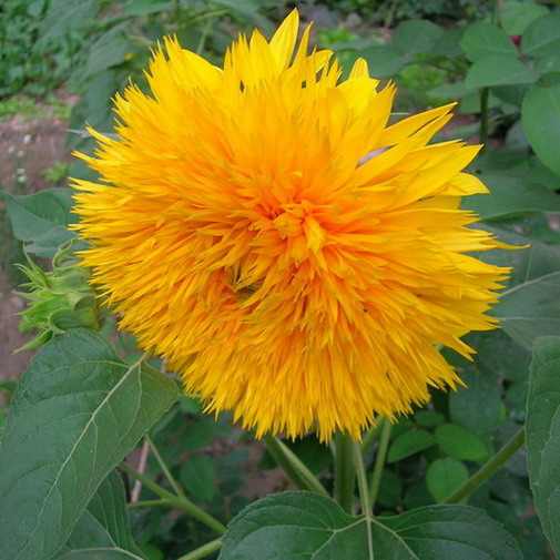 DSCN2934.JPG