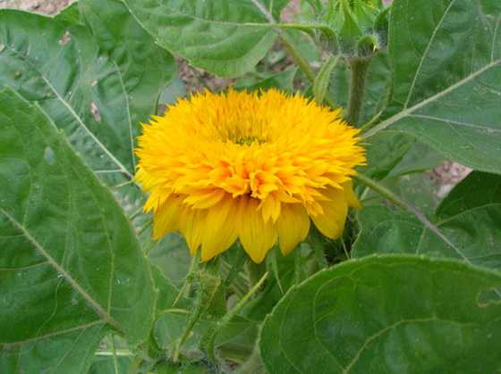 DSCN2944.JPG