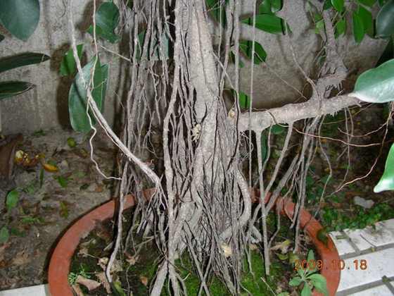 DSCN1434.JPG