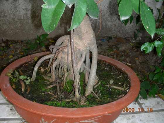 DSCN1433.JPG