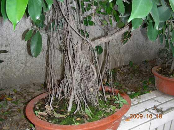 DSCN1426.JPG