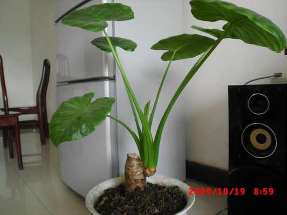 CIMG0507.JPG