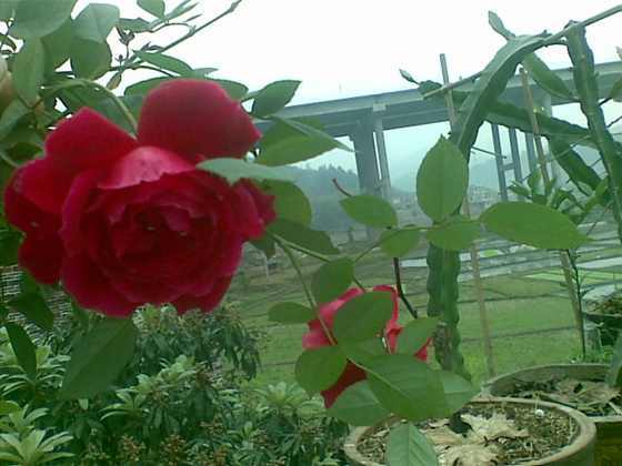 20090318_003.jpg