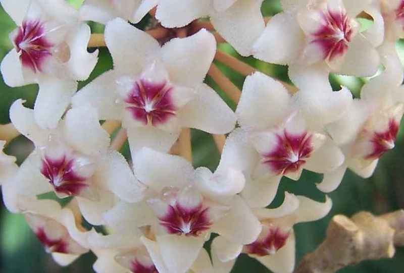 100_6246.JPG