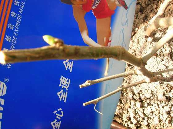 DSCN3234.JPG