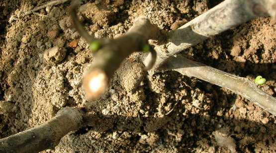 DSCN3226.JPG