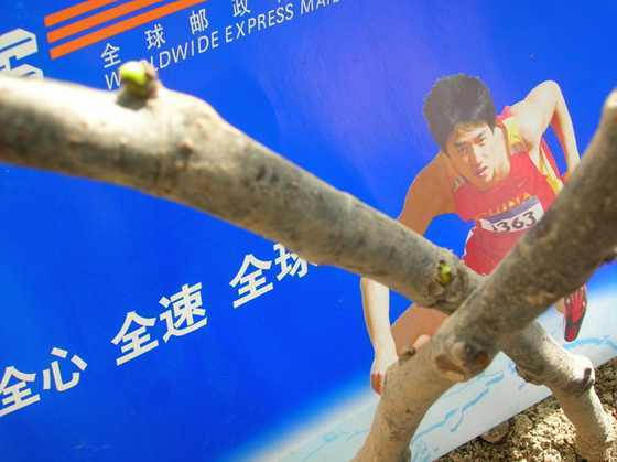 DSCN3239.JPG