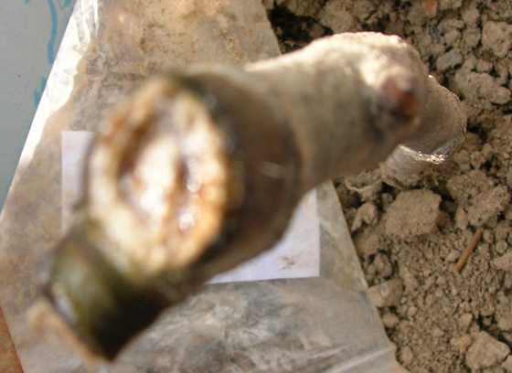 DSCN3228.JPG