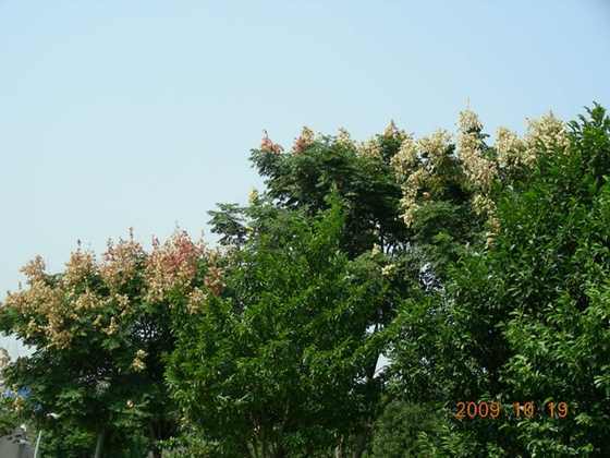 DSCN1549.JPG