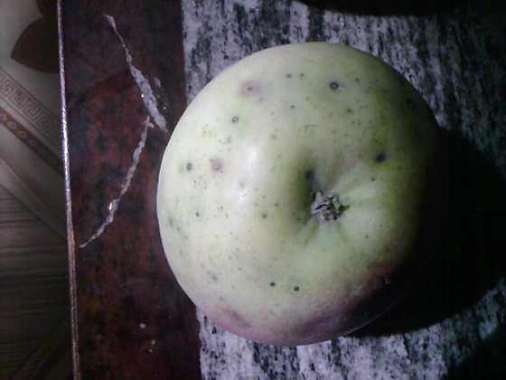 ��Ƭ-0028.jpg