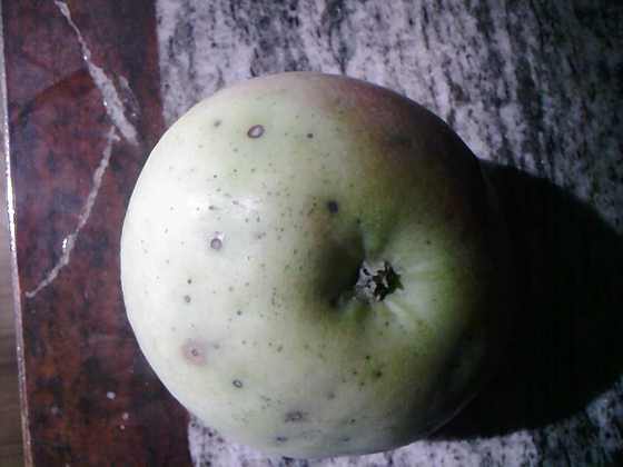 ��Ƭ-0027.jpg