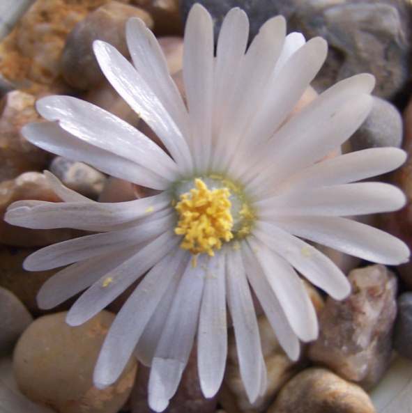 100_5602.JPG