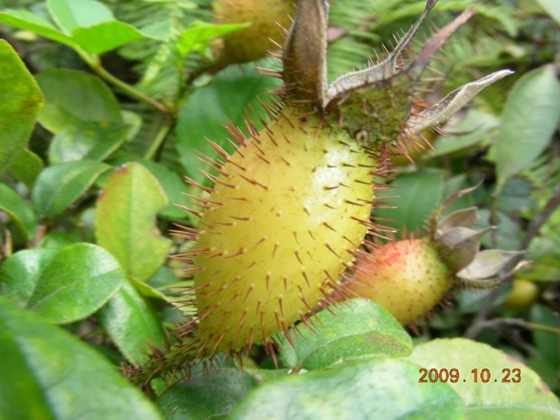 DSCN1676.JPG