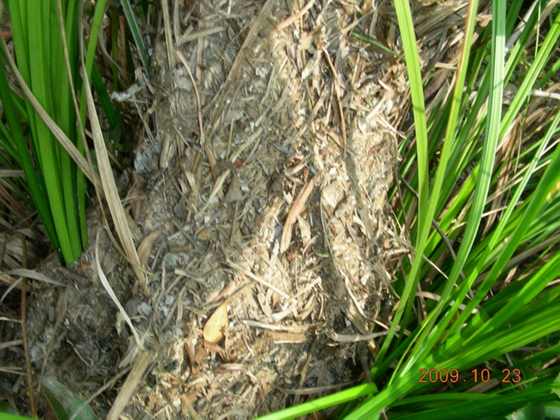 DSCN1781.JPG