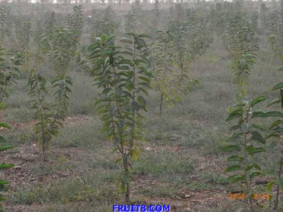 RIMG1030.JPG