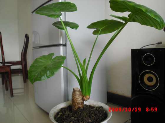 CIMG0507.JPG