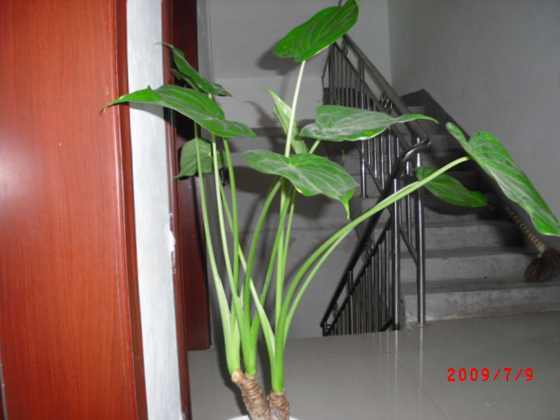 CIMG0074.JPG