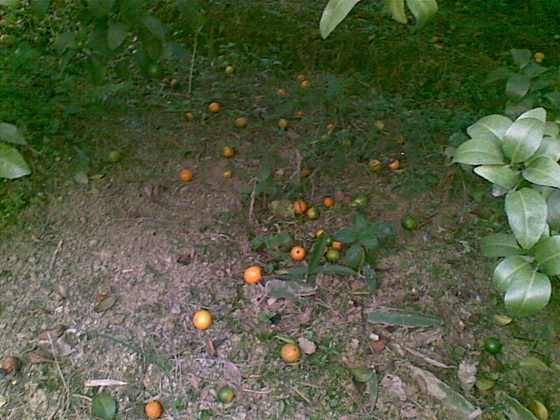 20091025_015.jpg