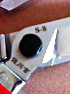 img006.jpg
