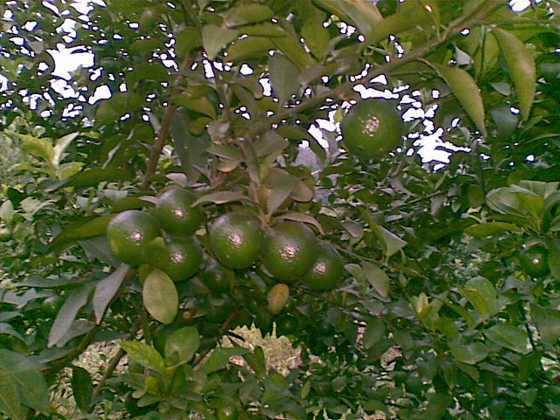 20091025_028.jpg
