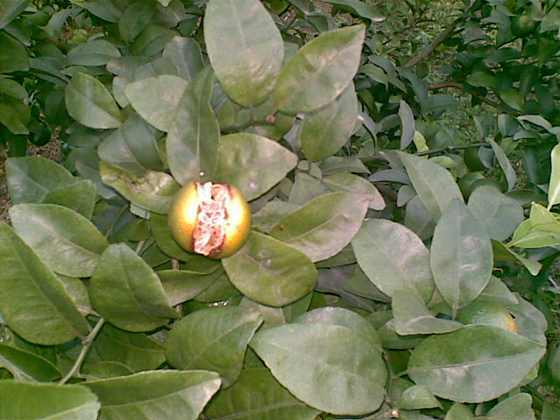 20091025_025.jpg
