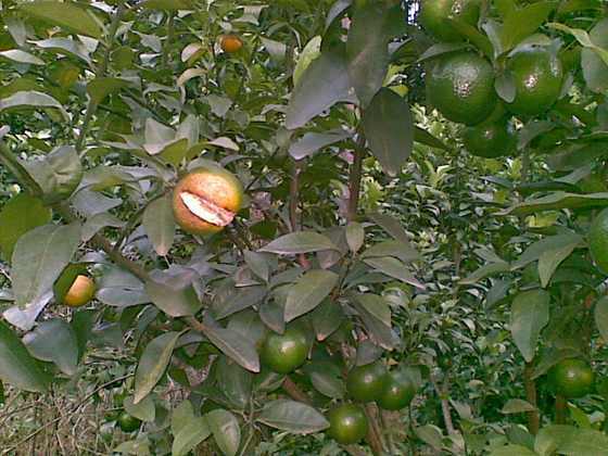 20091025_027.jpg