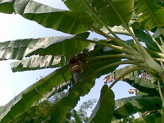 20091025_001.jpg