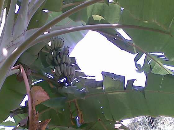 20091025_005.jpg