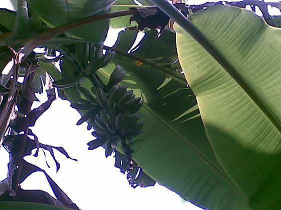 20091025_011.jpg