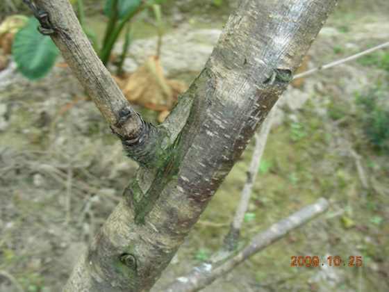 DSCN1876.JPG