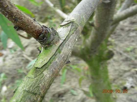 DSCN1883.JPG