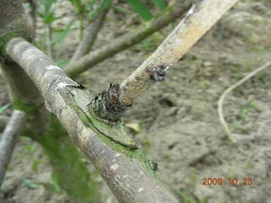 DSCN1882.JPG