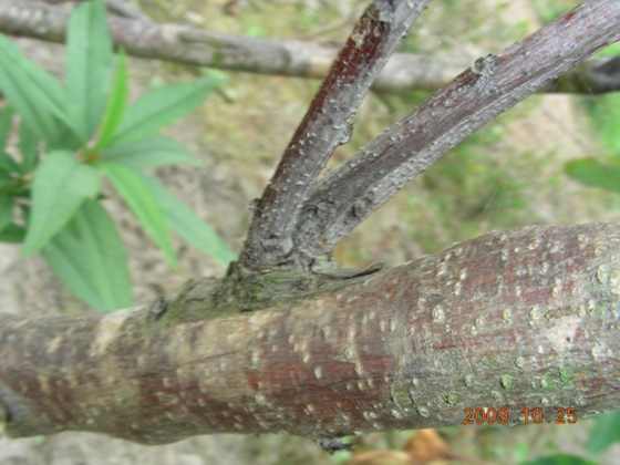DSCN1878.JPG