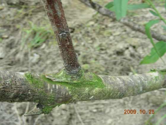 DSCN1880.JPG