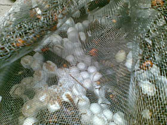 20091026_001.jpg
