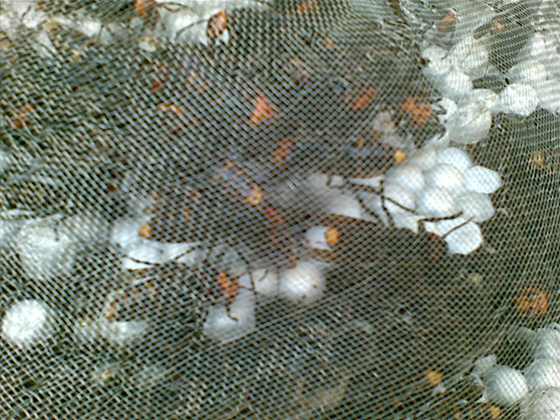 20091026_002.jpg