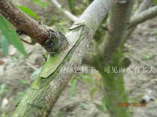 DSCN1883_.jpg