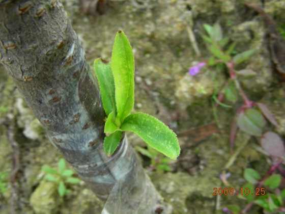 DSCN1871.JPG