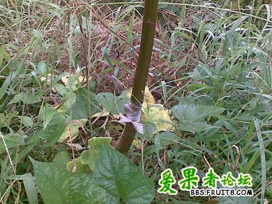 20091028_006.jpg