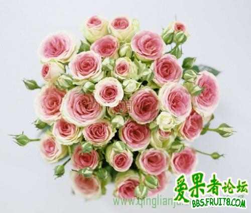 20090225_7c775cec5d59d19f140b1YsRu3Ej8VZU.jpg.thumb.jpg