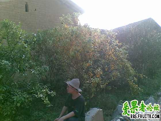 20091029_007.jpg