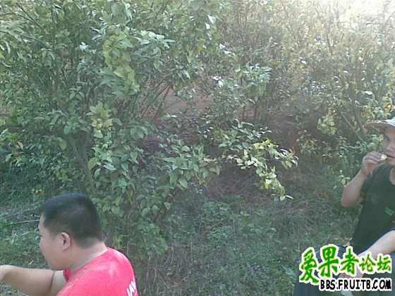 20091029_006.jpg