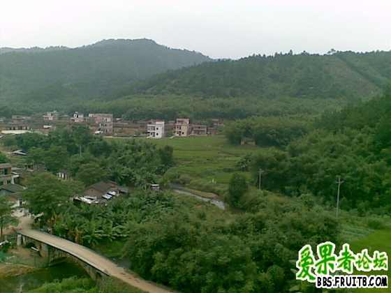 20070128_015.jpg