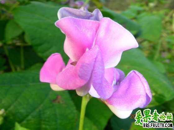 DSCN2138.JPG