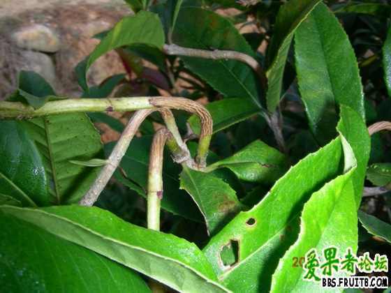 DSCN2190.JPG