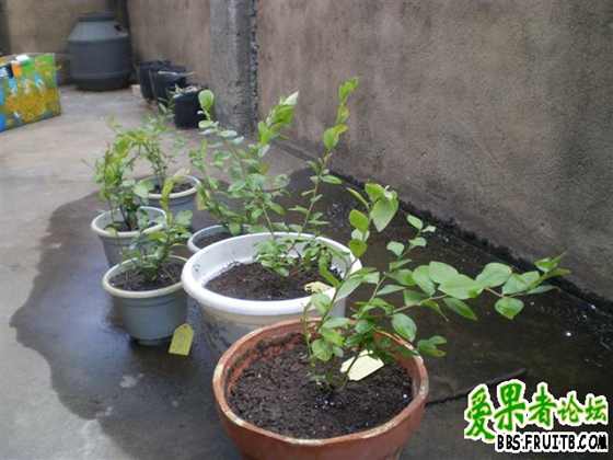 PA300022 (С��).JPG