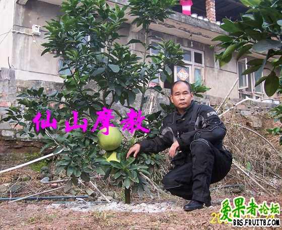 ����������ֵĺ�Ӱ���������ѿ���07�괺�����µġ�